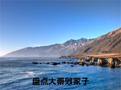 盘点大秦败家子，祖龙棺材板压不住了小说全文免费阅读( 苏林嬴政)全文免费阅读无弹窗大结局_  苏林嬴政最新章节列表_笔趣阁（盘点大秦败家子，祖龙棺材板压不住了小说）