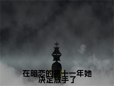 阮小舟明槐（在暗恋的第十一年她决定放手了）免费小说-在暗恋的第十一年她决定放手了（阮小舟明槐）最新章节完整版阅读
