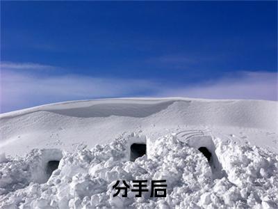 分手后，她和马甲大佬闪婚了知乎小说全文免费阅读_（ 林初夏苏北辰）分手后，她和马甲大佬闪婚了完结版在线阅读最新章节列表笔趣阁