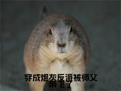 穿成炮灰反派被师父带飞了小说全文免费阅读无弹窗-（落重曦阅读无弹窗）穿越小说免费阅读_笔趣阁