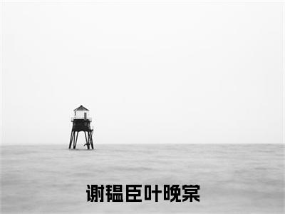 （谢韫臣叶晚棠）小说全文免费阅读无弹窗大结局_谢韫臣叶晚棠谢韫臣叶晚棠最新章节列表笔趣阁