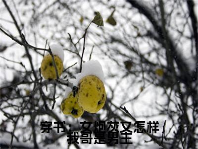 小说 方易秦方景秋全文免费阅读无弹窗大结局_穿书：女炮灰又怎样我哥是男主完整阅读