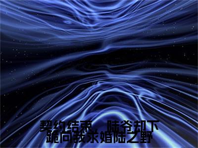 契约结束，陆爷却下跪向我求婚陆之野慕语陆之野小说全文在线阅读无弹窗大结局_（慕语陆之野全文在线阅读无弹窗）