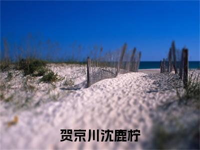 沈鹿柠贺京川小说（贺京川沈鹿柠）免费阅读_沈鹿柠贺京川小说免费阅读-笔趣阁