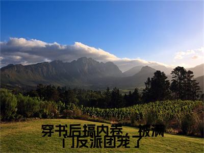 风瑶小说穿书后搞内卷，被满门反派团宠了全文免费阅读无弹窗-正版小说（穿书后搞内卷，被满门反派团宠了）风瑶全文阅读