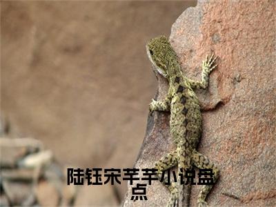 渣男用爱拿捏我，姐直接宣布分手小说（ 陆钰宋芊芊）热推新书_渣男用爱拿捏我，姐直接宣布分手最新章节在线阅读_笔趣阁