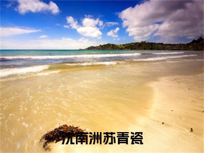 沈南洲苏青瓷(苏青瓷沈南洲)免费全文阅读小说_沈南洲苏青瓷最新章节列表-笔趣阁（苏青瓷沈南洲）