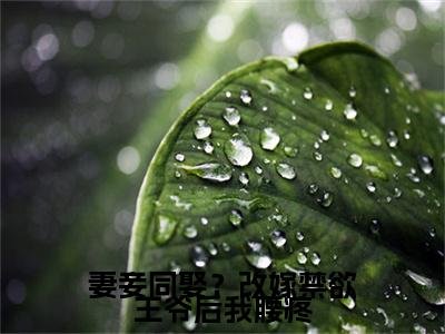 妻妾同娶？改嫁禁欲王爷后我腰疼小说最新试读_ 步九苼祁肃是（妻妾同娶？改嫁禁欲王爷后我腰疼）_笔趣阁（妻妾同娶？改嫁禁欲王爷后我腰疼）