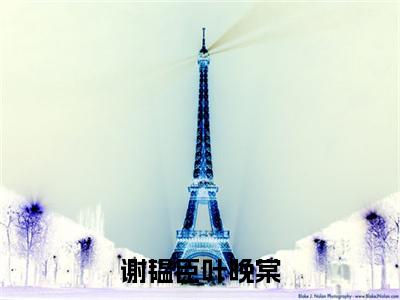 谢韫臣叶晚棠小说（谢韫臣叶晚棠）免费阅读-谢韫臣叶晚棠（谢韫臣叶晚棠）全章节最新阅读