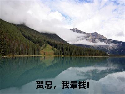 贺总,我晕钱!全文小说(贺彦翰许芷韵)-完整版小说贺彦翰许芷韵(贺总,我晕钱!)热文免费阅读