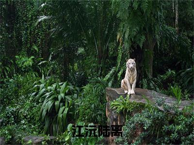 江沅陆离精彩章节免费阅读_（陆离江沅）江沅陆离抖音热推小说最新章节阅读