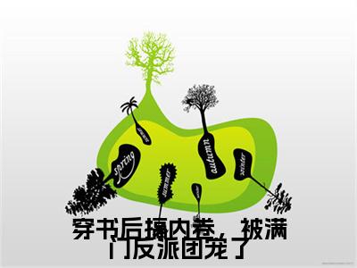 （穿书后搞内卷，被满门反派团宠了）在线阅读-主角是（风瑶）的小说穿书后搞内卷，被满门反派团宠了全文赏析最新章节列表_笔趣阁