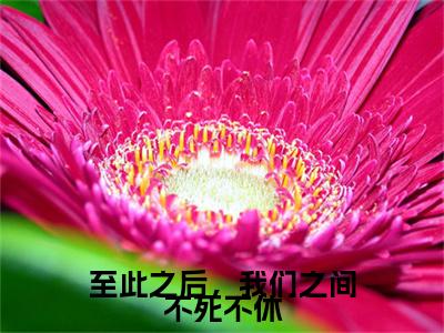 尹正东萧明薇全文免费阅读大结局-至此之后，我们之间不死不休最新章节列表笔趣阁