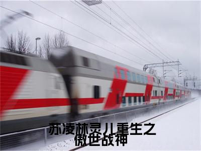 重生之傲世战神( 苏凌林灵儿)免费全文阅读小说_重生之傲世战神最新章节列表-笔趣阁（ 苏凌林灵儿）