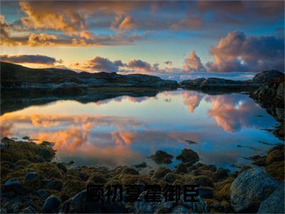 顾初夏霍御臣（霍御臣顾初夏）全文免费阅读无弹窗_霍御臣顾初夏最新小说_笔趣阁（顾初夏霍御臣）