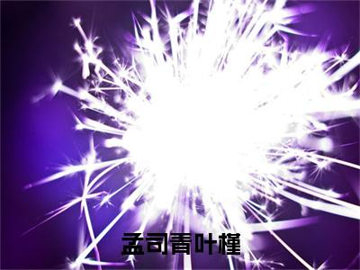 (孟司青叶槿)全文免费阅读-孟司青叶槿(孟司青叶槿)最新章节列表阅读