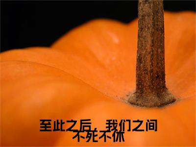 至此之后，我们之间不死不休最新热门榜单小说-尹正东萧明薇全文无弹窗免费阅读大结局