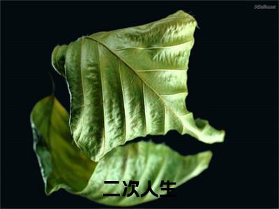 安秋叶知文（二次人生）全文免费阅读无弹窗大结局_（二次人生无弹窗）最新章节免费阅读_笔趣阁（安秋叶知文）