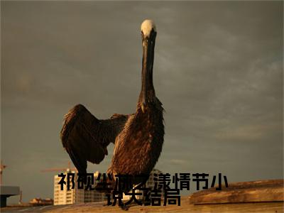 祁砚尘林之漾情节（ 祁砚尘林之漾）全文免费阅读无弹窗大结局_(祁砚尘林之漾情节) 祁砚尘林之漾免费阅读无弹窗最新章节列表_笔趣阁（ 祁砚尘林之漾）