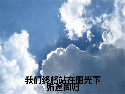 沈岁安韩云峥(我们终将站在阳光下殊途同归)全文免费阅读无弹窗大结局我们终将站在阳光下殊途同归(沈岁安韩云峥)