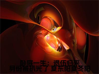 卧底一生：退伍归来身份被扒光了（ 夏东阳夏冬阳）热门小说盘点在线阅读-全网推荐小说 夏东阳夏冬阳全文