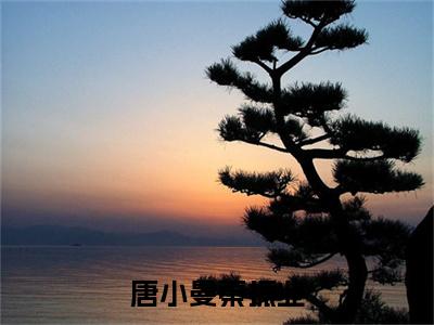 唐小曼秦振业小说（秦振业唐小曼）全文在线阅读免费大结局_唐小曼秦振业小说最新章节列表_笔趣阁（秦振业唐小曼）