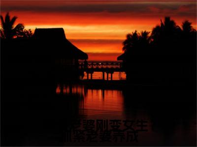 可爱老婆刚变女生?抓紧老婆养成全文(苏玖)全文免费阅读无弹窗大结局_可爱老婆刚变女生?抓紧老婆养成全文最新章节列表_笔趣阁(苏玖)