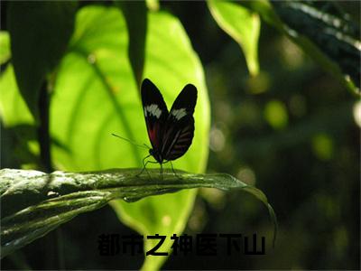 都市之神医下山全文免费阅读无弹窗大结局_都市之神医下山( 林东楚云秀)小说结局免费阅读（ 林东楚云秀）