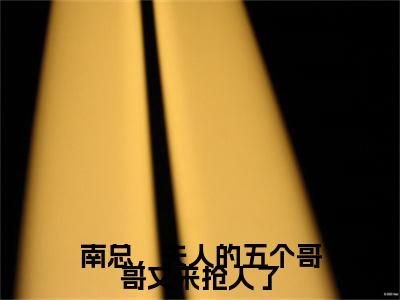 小说（南总，夫人的五个哥哥又来抢人了）南宫辰洛云汐全文阅读_小说南总，夫人的五个哥哥又来抢人了免费阅读（南宫辰洛云汐）笔趣阁