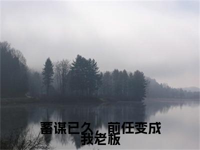 蓄谋已久，前任变成我老板（沈清溪江浔风）小说全文免费阅读无弹窗大结局_（沈清溪江浔风）蓄谋已久，前任变成我老板最新章节列表（蓄谋已久，前任变成我老板）