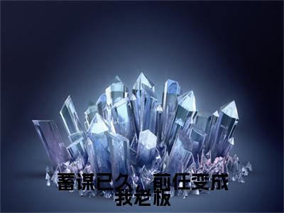 蓄谋已久，前任变成我老板全文免费阅读无弹窗大结局，沈清溪江浔风小说精彩免费试读