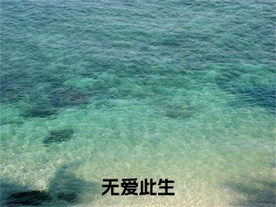 （顾泽谦夏淼）无爱此生小说全文免费_（顾泽谦夏淼）最新章节列表笔趣阁
