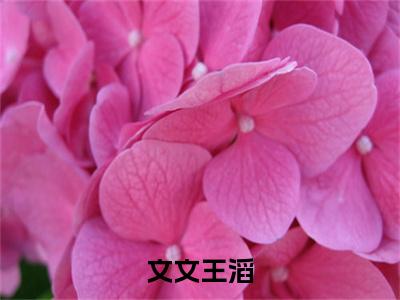 文文王滔（文文王滔）是什么小说_主角是（文文王滔）的小说（文文王滔）最新章节无弹窗阅读