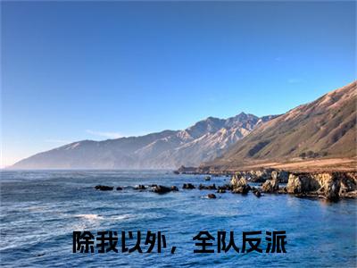 除我以外，全队反派小说最新章节在线阅读_除我以外，全队反派在线阅读
