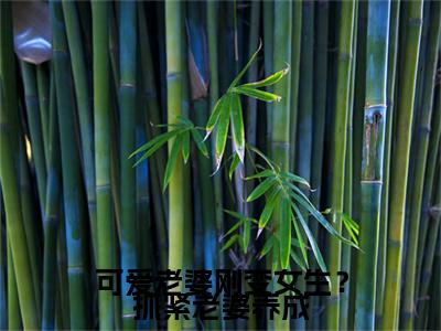 (苏玖)可爱老婆刚变女生?抓紧老婆养成无弹窗免费阅读 苏玖大结局无删阅读_笔趣阁