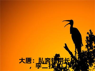 秦淮小说（大唐：私奔错带长乐，李二找上门）完整版小说阅读_秦淮全本列表免费笔趣阁