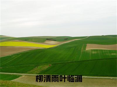 柳清雨叶临渊（柳清雨叶临渊）全文免费阅读无弹窗大结局_（柳清雨叶临渊）柳清雨叶临渊最新章节列表_笔趣阁