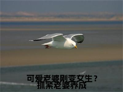 (热推新书)美文摘抄(可爱老婆刚变女生?抓紧老婆养成)主人公为(苏玖)的小说 可爱老婆刚变女生?抓紧老婆养成大结局全文免费阅读_笔趣阁