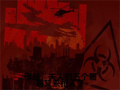南宫辰洛云汐是什么小说 南总，夫人的五个哥哥又来抢人了正版小说免费阅读_笔趣阁
