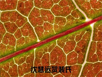 沈慧远贺裴氏（贺裴氏沈慧远）小说全文免费阅读_（贺裴氏沈慧远）小说全文无删减版在线阅读