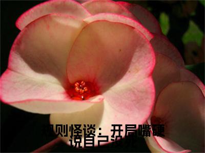 规则怪谈:开局嘴硬说自己没死(白良全文在线阅读)-规则怪谈:开局嘴硬说自己没死(白良)免费阅读(规则怪谈:开局嘴硬说自己没死)