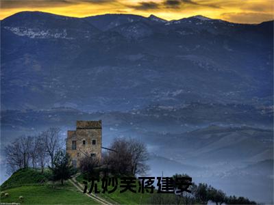 小说沈妙芙蒋建安（蒋建安沈妙芙全文免费阅读）完结阅读_蒋建安沈妙芙全文免费阅读免费看全文