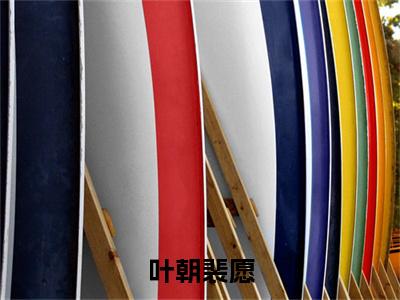 裴愿叶朝(叶朝裴愿)最新章节在线阅读 抖音新书热荐叶朝裴愿