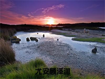 尤安顾泽渊(顾泽渊尤安)全文免费阅读无弹窗_尤安顾泽渊完整版最新阅读_笔趣阁(顾泽渊尤安)