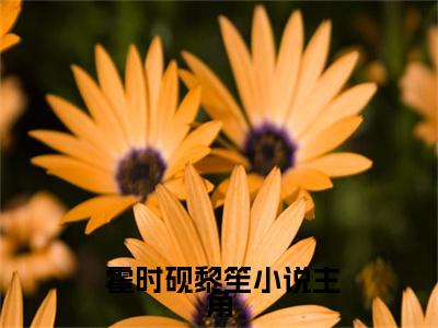 掌心独宠：错撩矜贵冷欲商圈太子爷（ 霍时砚黎笙）全文免费阅读无弹窗大结局_掌心独宠：错撩矜贵冷欲商圈太子爷小说（ 霍时砚黎笙）最新章节列表（掌心独宠：错撩矜贵冷欲商圈太子爷）