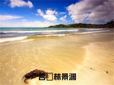 言婈林景渊(林景渊言婈)无弹窗小说免费阅读_言婈林景渊最新章节免费阅读_笔趣阁