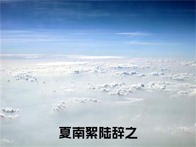 小说《陆辞之夏南絮》全文免费阅读无弹窗-夏南絮陆辞之小说全文在线赏析_笔趣阁