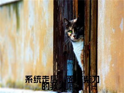 系统走后,面临柴刀的我人麻了小说(千凡星)全文免费阅读_(千凡星)系统走后,面临柴刀的我人麻了小说最新章节列表_笔趣阁(千凡星)
