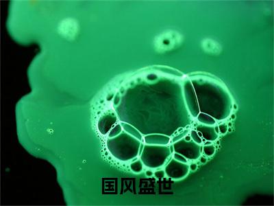 苏贺（国风盛世）在哪免费看-小说（国风盛世）全文完整版免费阅读苏贺