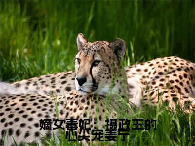 小说嫡女毒妃：摄政王的心尖宠姜宁全文免费阅读无弹窗大结局_（姜宁楚云离）全文在线阅读